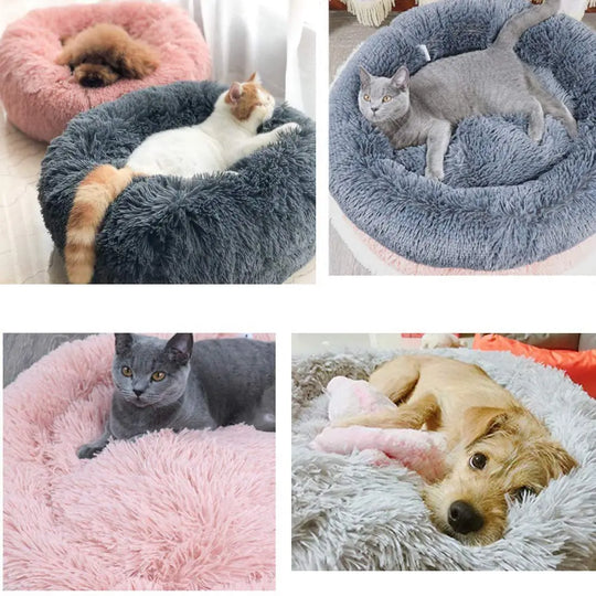 Pawsome Nest "Ultra-Soft Dog Bed Haven"