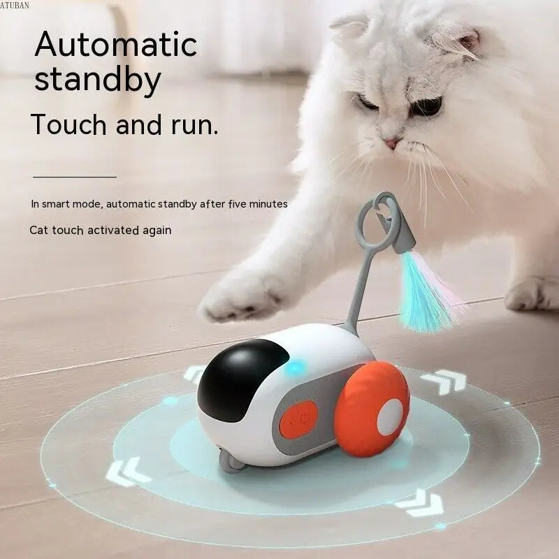 Cat Smart Toy